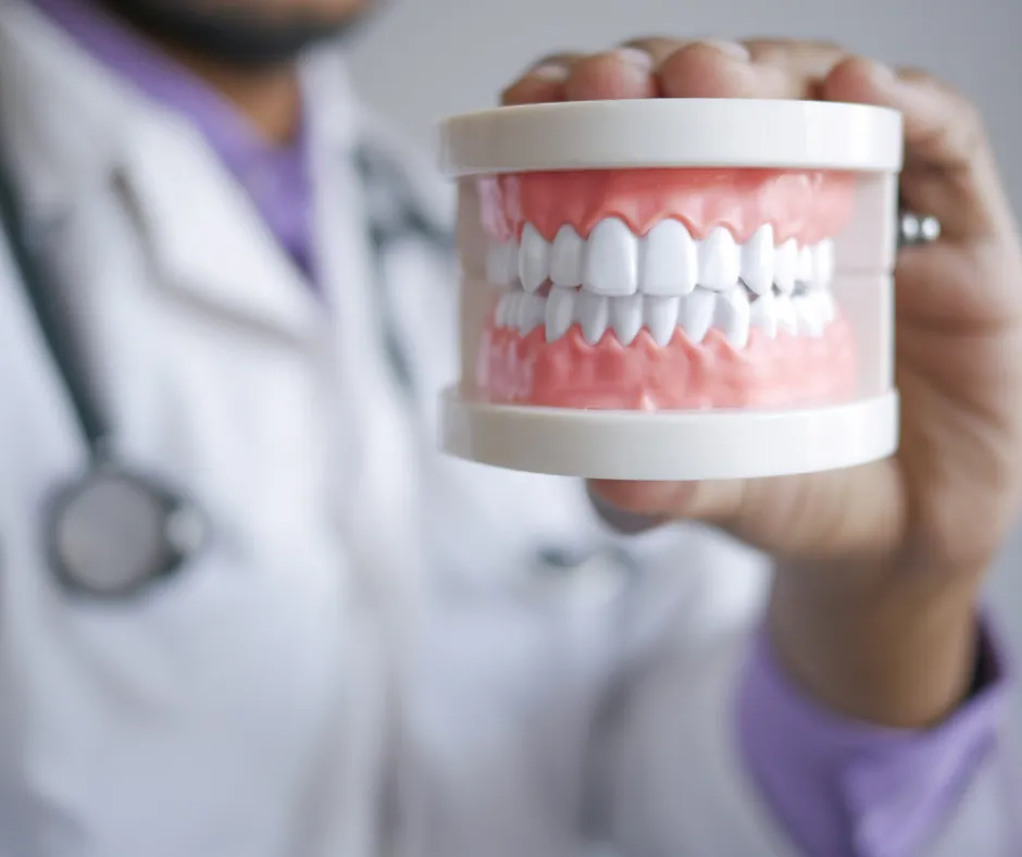Dental teeth model demonstration